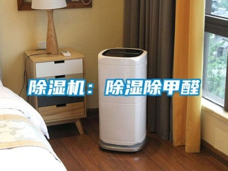 常見問題除濕機：除濕除甲醛