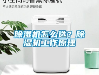 行業新聞除濕機怎么選？除濕機工作原理