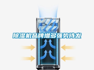 常見(jiàn)問(wèn)題除濕機(jī)品牌增多強(qiáng)勢(shì)待發(fā)