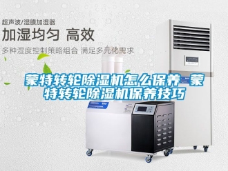 常見問題蒙特轉(zhuǎn)輪除濕機怎么保養(yǎng) 蒙特轉(zhuǎn)輪除濕機保養(yǎng)技巧