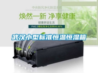 知識百科武漢小型標準恒溫恒濕箱