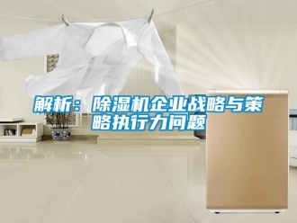 常見(jiàn)問(wèn)題解析：除濕機(jī)企業(yè)戰(zhàn)略與策略執(zhí)行力問(wèn)題