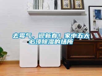 行業(yè)新聞去霉氣，迎新春！家中五大必須除濕的場所
