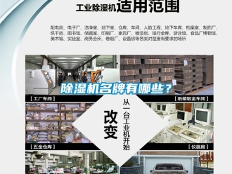行業(yè)新聞除濕機(jī)名牌有哪些？
