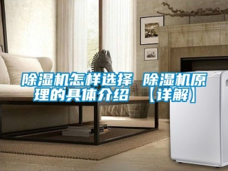 行業新聞除濕機怎樣選擇 除濕機原理的具體介紹 【詳解】