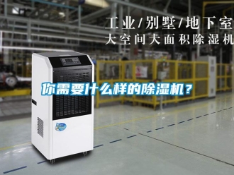 行業(yè)新聞你需要什么樣的除濕機(jī)？