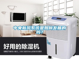 常見問題中央新風系統是如何發展的嗎？