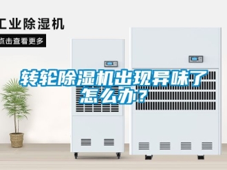 常見問題轉輪除濕機出現異味了怎么辦？
