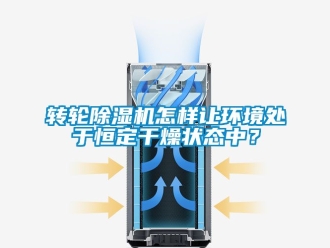 常見問題轉(zhuǎn)輪除濕機(jī)怎樣讓環(huán)境處于恒定干燥狀態(tài)中？