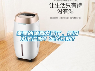 常見問題家里的糧食發(fā)霉了，是因為潮濕嗎？怎么預(yù)防？