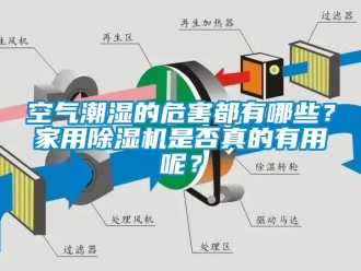 常見問題空氣潮濕的危害都有哪些？家用除濕機(jī)是否真的有用呢？