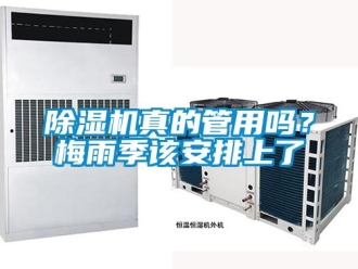 常見問題除濕機真的管用嗎？梅雨季該安排上了