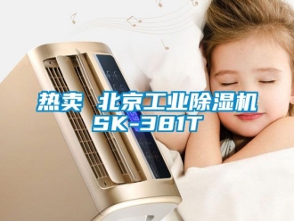 常見問題熱賣 北京工業除濕機SK-381T