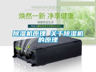 行業新聞除濕機原理 關于除濕機的原理