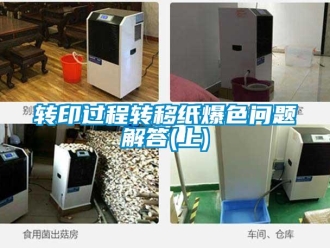 常見問題轉印過程轉移紙爆色問題解答(上)