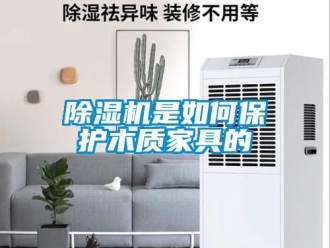 常見問題除濕機是如何保護木質家具的