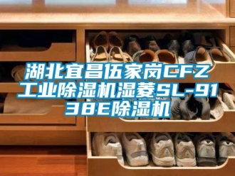 常見問題湖北宜昌伍家崗CFZ工業除濕機濕菱SL-9138E除濕機