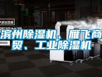 常見問題濱州除濕機(jī)、雁飛商貿(mào)、工業(yè)除濕機(jī)