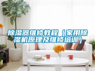 常見問題除濕器維修教程（家用除濕機原理及維修培訓(xùn)）