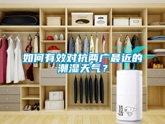 常見問題如何有效對抗兩廣最近的潮濕天氣？