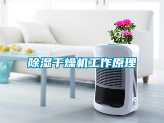 常見問題除濕干燥機工作原理