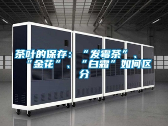常見問題茶葉的保存：“發霉茶”、“金花”、“白霜”如何區分