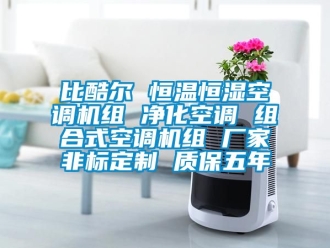 常見(jiàn)問(wèn)題比酷爾 恒溫恒濕空調(diào)機(jī)組 凈化空調(diào) 組合式空調(diào)機(jī)組 廠家非標(biāo)定制 質(zhì)保五年