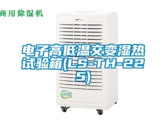 常見問題電子高低溫交變濕熱試驗箱(LS-TH-225)