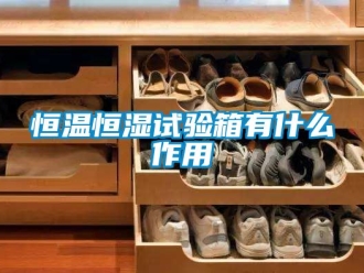 知識百科恒溫恒濕試驗箱有什么作用
