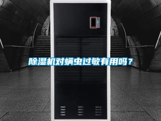 行業(yè)新聞除濕機(jī)對螨蟲過敏有用嗎？