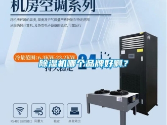 常見問題除濕機哪個品牌好啊？