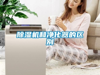 常見問題除濕機和凈化器的區別