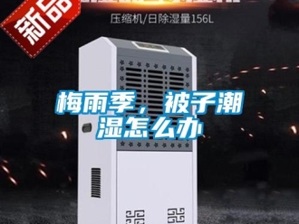 常見問題梅雨季，被子潮濕怎么辦