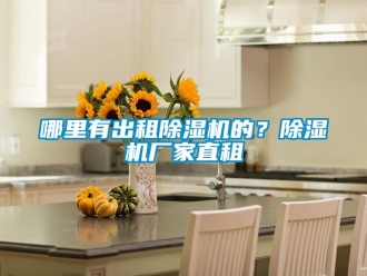 行業(yè)新聞哪里有出租除濕機(jī)的？除濕機(jī)廠家直租