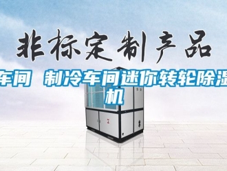 常見問題車間 制冷車間迷你轉輪除濕機