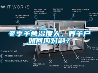 常見問題冬季羊舍濕度大，養羊戶如何應對啊？