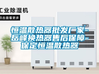 知識百科恒溫散熱器批發廠家-岳峰換熱器售后保障-保定恒溫散熱器