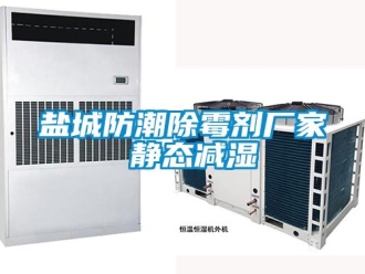 常見問題鹽城防潮除霉劑廠家 靜態減濕