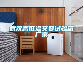 常見(jiàn)問(wèn)題武漢高低溫交變?cè)囼?yàn)箱廠家