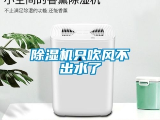 行業新聞除濕機只吹風不出水了