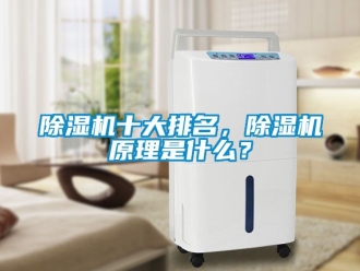 行業新聞除濕機十大排名，除濕機原理是什么？