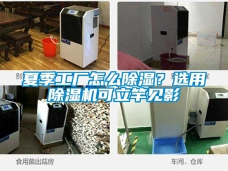 常見問(wèn)題夏季工廠怎么除濕？選用除濕機(jī)可立竿見影