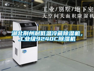 常見問題湖北荊州耐低溫冷藏除濕機，工業級9240C除濕機