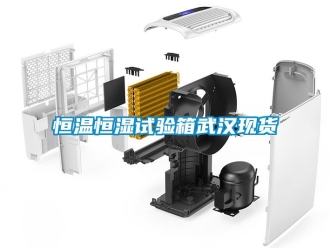 知識百科恒溫恒濕試驗箱武漢現貨