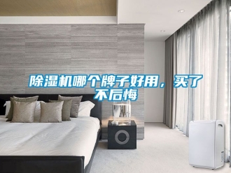 行業(yè)新聞除濕機(jī)哪個(gè)牌子好用，買了不后悔