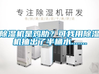 行業(yè)新聞除濕機是雞肋？可我用除濕機抽出了半桶水.......