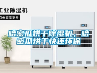 行業(yè)新聞哈密瓜烘干除濕機(jī)，哈密瓜烘干快還環(huán)保