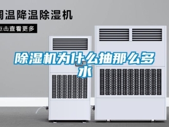 行業新聞除濕機為什么抽那么多水