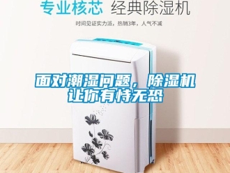 常見問題面對潮濕問題，除濕機讓你有恃無恐