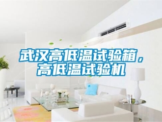 常見(jiàn)問(wèn)題武漢高低溫試驗(yàn)箱，高低溫試驗(yàn)機(jī)